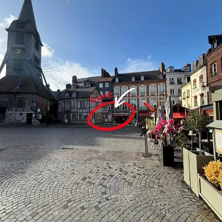 La Canopée - Place Sainte-catherine * Honfleur
